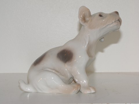 Bing & Grondahl figurine
Sealyham Terrier puppy
