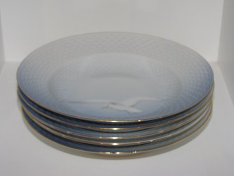 Seagull with gold edge
Small soup plate #23 21 cm.