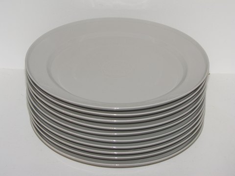 Gemma
Large dinner plate