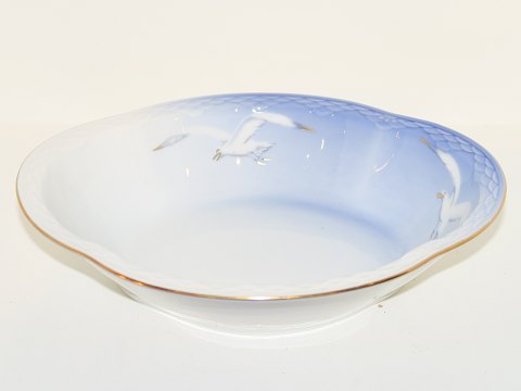 Seagull with gold edge
Oblong bowl