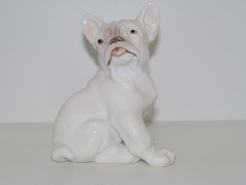 Bing & Grondahl figurine
Bulldog puppy