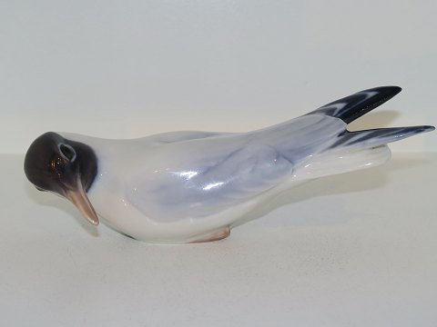 Large Bing & Grondahl figurine
Seagull