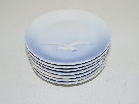 Seagull without gold edge
Small tray 9.6 cm.