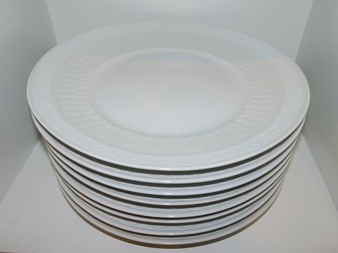 White Fan
Extra large dinner plate 27.9 cm.