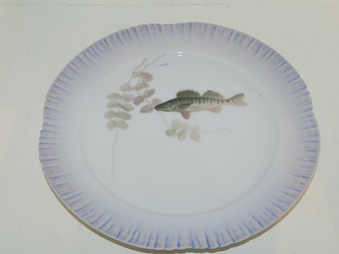 Royal Copenhagen
Fish plate 
Art Nouveau from 1898-1923