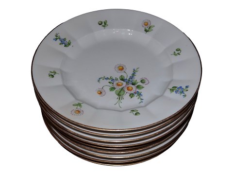 Bellis & Coltsfoot Angular
Luncheon plate plate 21.5 cm.