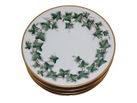 Green Ivy
Side plate