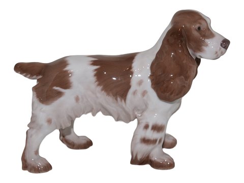 Large Bing & Grondahl dog figurine
Cocker spaniel