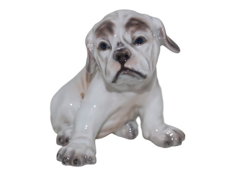 Dahl Jensen figurine
English Bulldog puppy