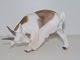 Bing & Grondahl figurine
Goat