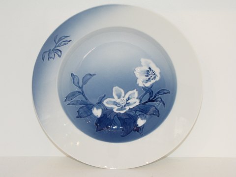 item no: 107104