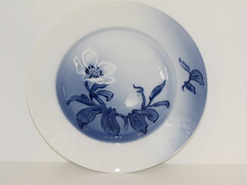 item no: 107107