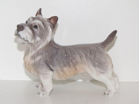Dahl Jensen figurCairn Terrier
