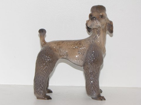 item no: 255129