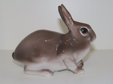 Bing & Grondahl figurine
Rabbit