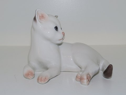 Royal Copenhagen figurHvid kattekilling