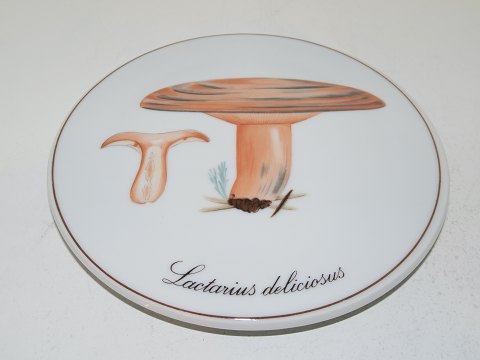 Mushroom plates<br>Bing & ...