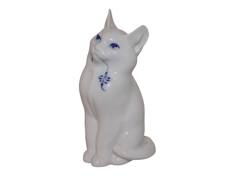 Katte<br>Royal ...