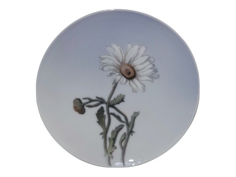 Royal Copenhagen Small Art Nouveau plate with daisy