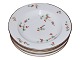 Barberry
Small soup plate 21 cm.