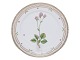 Flora Danica
Frokosttallerken  22 cm. #3572