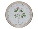 Flora Danica
Frokosttallerken  22 cm. #3572