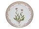 Flora Danica
Frokosttallerken  22 cm. #3572