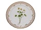Flora Danica
Frokosttallerken  22 cm. #3572