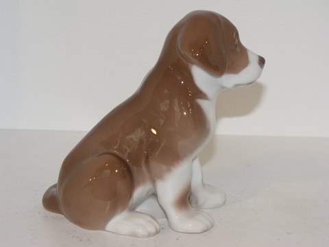 Antik K - Bing Grøndahl hunde figur * * Bernhard hvalp